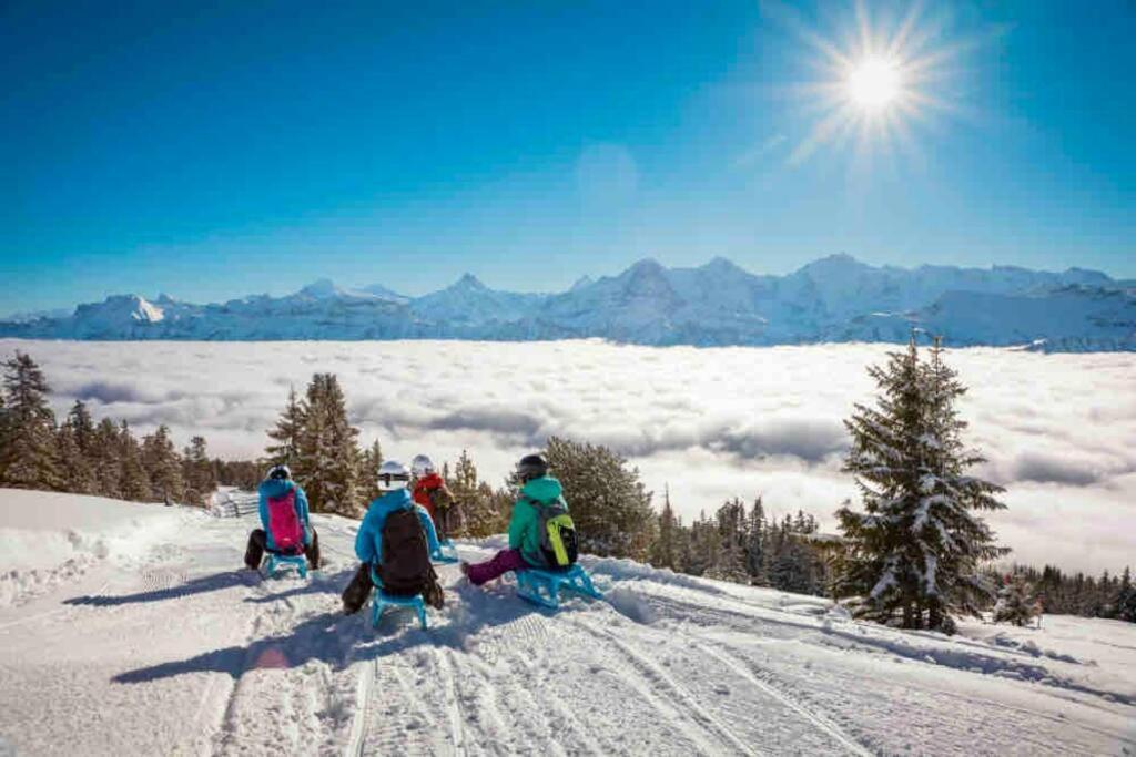 Chalet Mignon - Your Vacation Oasis At Lake Brienz Bonigen Bagian luar foto