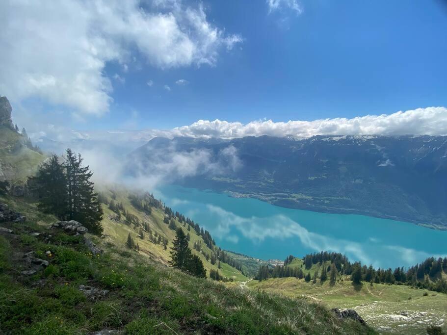 Chalet Mignon - Your Vacation Oasis At Lake Brienz Bonigen Bagian luar foto